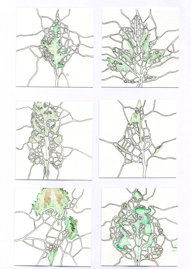 leaf-print-maps-web